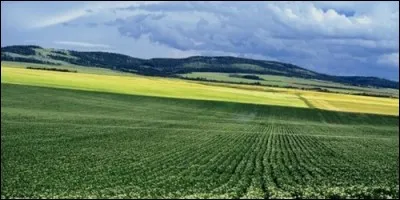 One hectare measures 100 m².