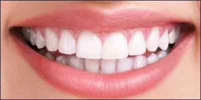 What are the teeth that cut?