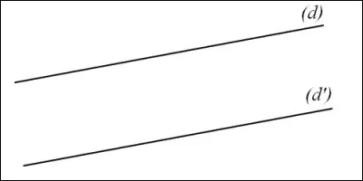 What do we call lines that never meet?