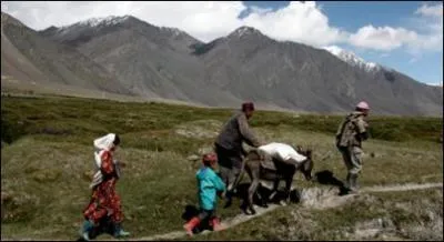 How many people suffer from hunger worldwide in 2011?