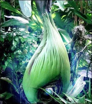 Which Pokemon do you recognize in this picture?