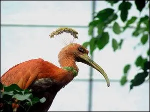 Which Pokemon do you recognize in this picture?