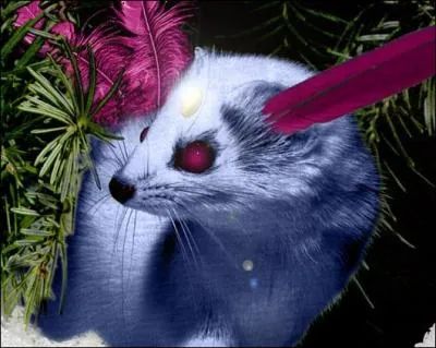 Which Pokemon do you recognize in this picture ?