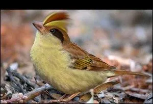 Which Pokemon do you recognize in this picture ?