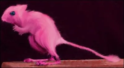 Which Pokemon do you recognize in this picture ?