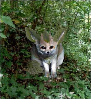 Which Pokemon do you recognize in this picture?