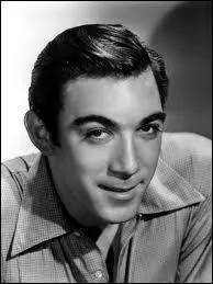 The Cannons of Navarone ... .