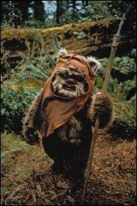 What is the name of this Ewok?