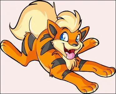 What is the name of this Pokemon?