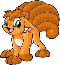 What is the name of this Pokemon?