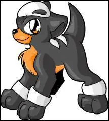 What is the name of this Pokemon?