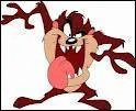 What type of animal is a Tasmanian Devil?