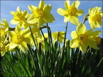 To subsist means to survive.