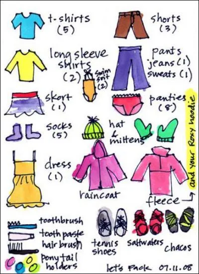 What are some things that you should take with you on your trip to Paris?