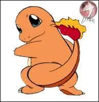 What is the evolution of Salameche?