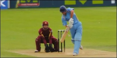 The goals in the game of cricket are called: