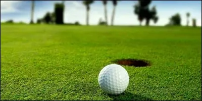 What is the name of the grass surface that surrounds the hole in golf?