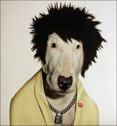 He was a member of the punk group 'Sex Pistols' :