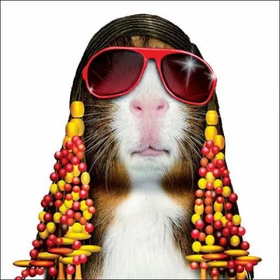 This blind singer is considered the prince of soul and rhythm and blues