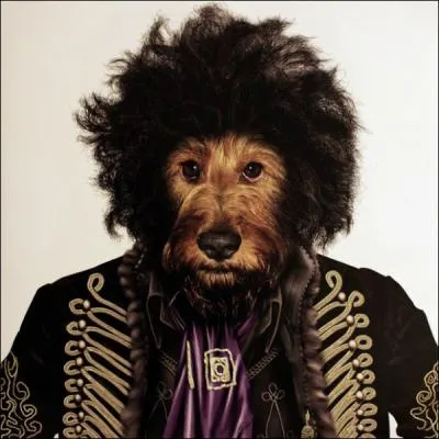 He gave the electric guitar its letters of nobility :