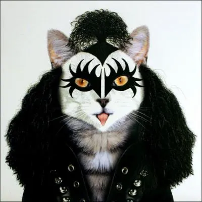Gene Simmons in the hard rock band :