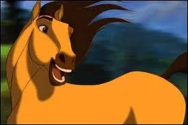 What's the name of the plains stud?