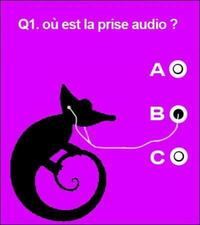 Here, what's this bug?