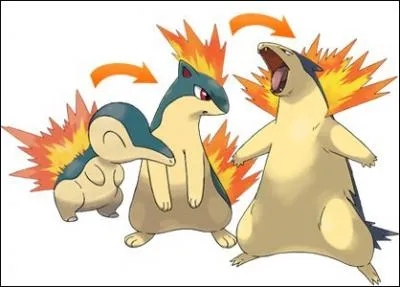 Which of these Pokemon is not a member of the same family?