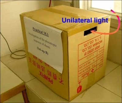 Evaporation is the change of