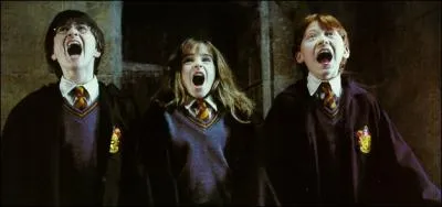 From which volume does this photo of Harry Potter, Hermione Granger and Ron Weasley come? (Help! )