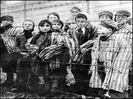 By what name is the 'final solution' of extermination of the Jews implemented by Himmler known?