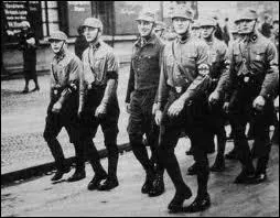 What was the name of the party militia led by Ernest Rohm?