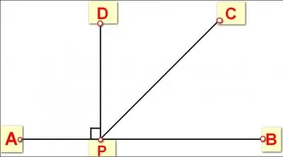 < APD is a ________ angle.