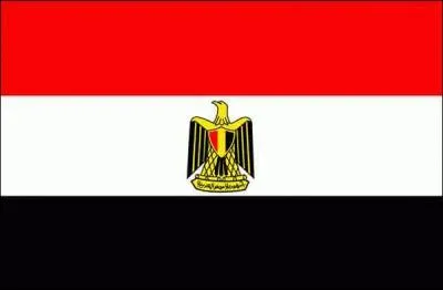 This flag has been adopted by ?