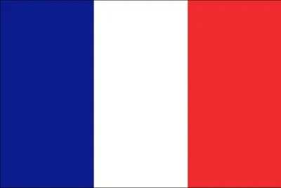 Which country has chosen this flag?