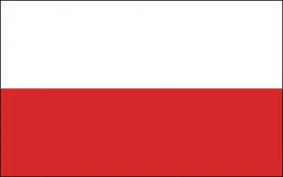 Which country does this flag represent?