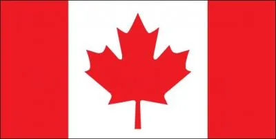 Which country has chosen this flag?