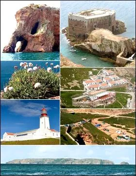 In addition to the Azores and Madeira, Portugal has another Atlantic archipelago. It is home to a biogenetic reserve with several endemic plant species. This is the archipelago