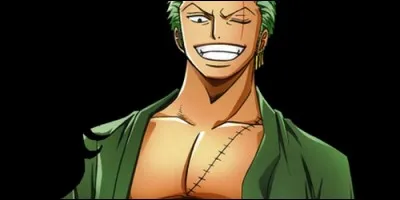 Who made the scar on Zoro's chest?