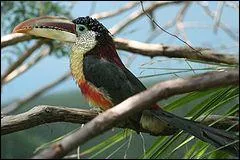 Which one is this one?