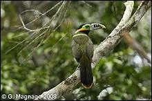 Which one is this one?