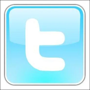 What site uses this logo?