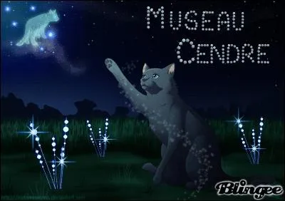 Who was Museau Cendre's apprentice?