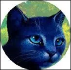 Who was the first chief of the Thunder Clan?