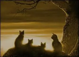 Who was Etoile de Feu's apprentice for a time?