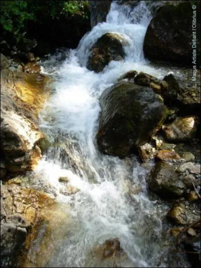 Switzerland is home to countless rivers. Among them, the Inn is a river that rises at an altitude of 2600 m on Piz Lunghin, in the canton of Graubünden. It is a tributary ...