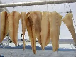 At home, it's an insult, in his country, a specialty!