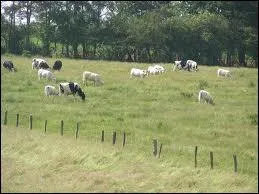 Her name smells of the countryside!