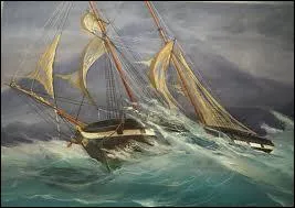 They live their lives without running out of steam!