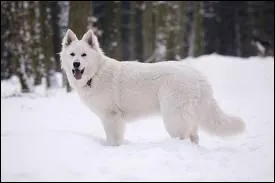 Her name doesn't evoke obscurity!